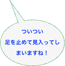 
ついつい
足を止めて見入ってしまいますね！