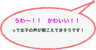 
うわ〜！！　かわいい！！
って女子の声が聞こえてきそうです！