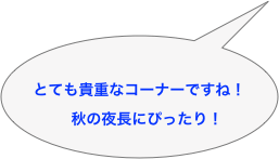 
とても貴重なコーナーですね！
　秋の夜長にぴったり！