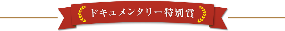 ドキュメンタリー特別賞