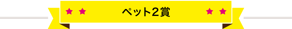 海外ドラマ賞